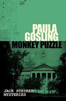 Monkey Puzzle Read online