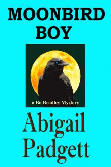 Moonbird Boy (Bo Bradley Mysteries, Book Four) Read online