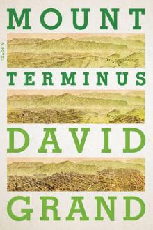 Mount Terminus: A Novel Read online
