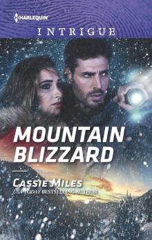 Mountain Blizzard Read online