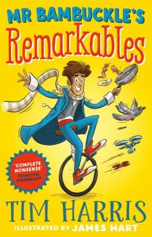 Mr Bambuckle's Remarkables Read online