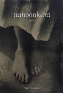 Nahoonkara Read online