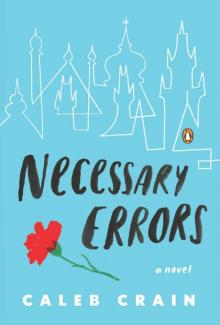 Necessary Errors: A Novel Read online
