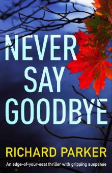 Never Say Goodbye: An edge of your seat thriller with gripping suspense (Detective Tom Fabian Book 1) Read online
