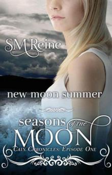 New Moon Summer (Seasons of the Moon) Read online