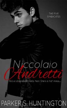 Niccolaio Andretti: A Mafia Romance Novel (The Five Syndicates Book 2)