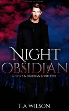 Night Obsidian (Aurora & Obsidian Book 2) Read online