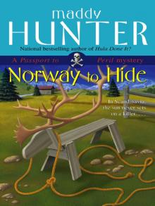 Norway to Hide Read online