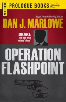 Operation Flashpoint Read online