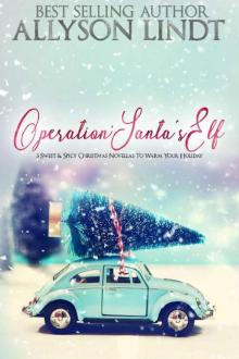 Operation: Santa's Elf: 3 Sweet & Spicy Christmas Novellas (Operation: Holiday Cheer Book 1) Read online