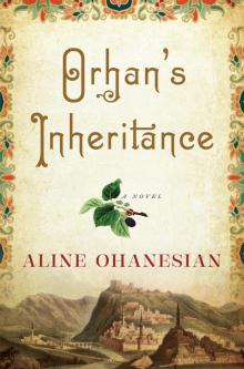 Orhan's Inheritance Read online