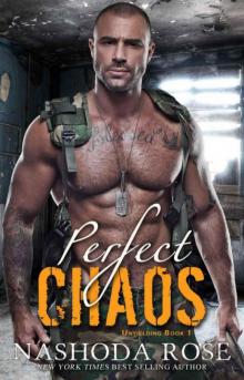 Perfect Chaos Read online