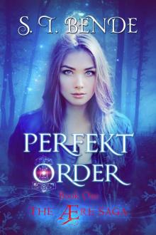 Perfekt Order (The Ære Saga Book 1) Read online