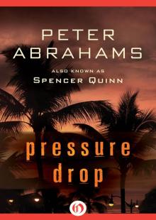 Pressure Drop Read online