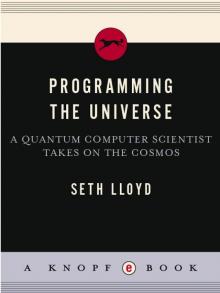 Programming the Universe