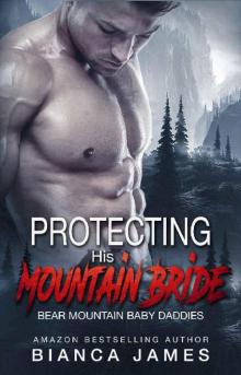 Protecting His Mountain Bride (Bear Mountain Baby Daddies Book 2) Read online