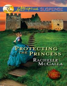 Protecting the Princess Read online