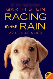 Racing in the Rain Read online