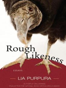 Rough Likeness: Essays Read online