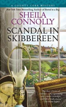 Scandal in Skibbereen (A County Cork Mystery) Read online