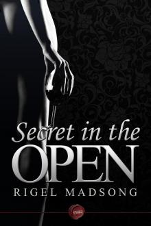 Secret in the Open Read online