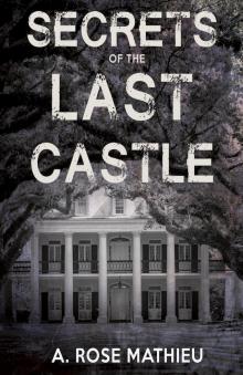 Secrets of the Last Castle Read online