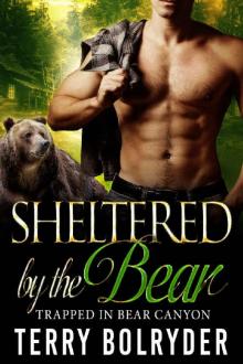 Sheltered by the Bear (Trapped in Bear Canyon Book 1) Read online