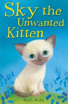 Sky the Unwanted Kitten Read online