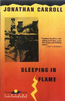 Sleeping in Flame Read online