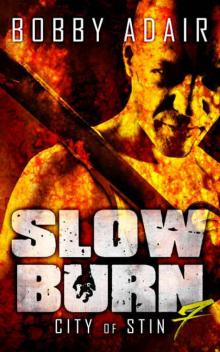 Slow Burn (Book 7): City of Stin Read online