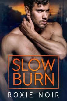 Slow Burn Read online