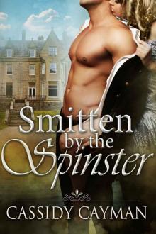 Smitten by the Spinster Read online