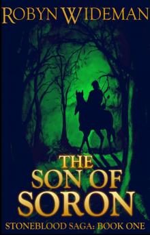 Son of Soron Read online