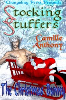 Stocking Stuffer: The Christmas Bunny