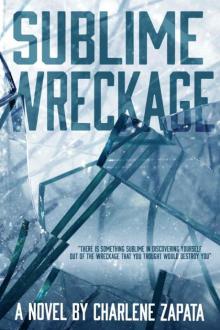 Sublime Wreckage Read online