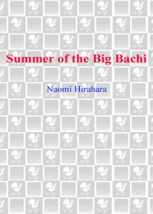Summer of the Big Bachi Read online