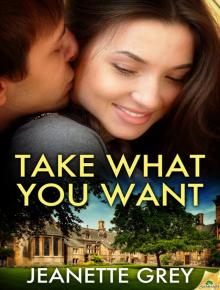 Take What You Want Read online