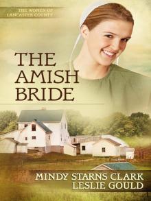 The Amish Bride Read online