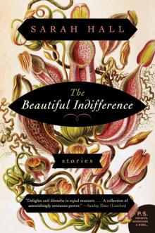 The Beautiful Indifference Read online