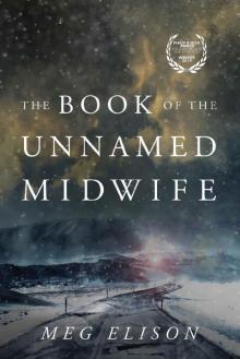The Book of the Unnamed Midwife Read online