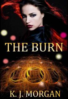 The Burn Read online