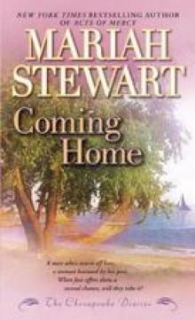 The Chesapeake Diaries: Coming Home Read online
