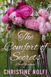 The Comfort of Secrets Read online