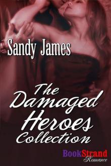 The Damaged Heroes Collection [Box Set #1: The Damaged Heroes Collection] (BookStrand Publishing Mainstream)