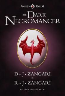 The Dark Necromancer Read online