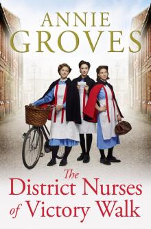 The District Nurse Read online