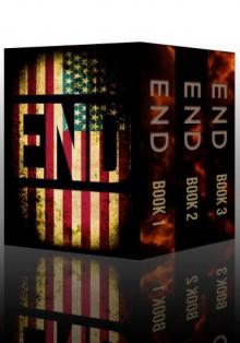 The End Boxset: Postapocalyptic Visions of an Unstoppable Collapse Read online