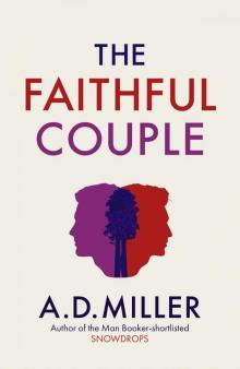 The Faithful Couple Read online