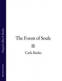 The Forest of Souls Read online