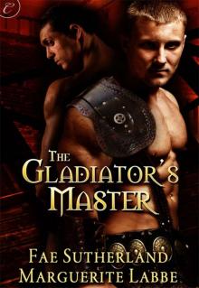 The Gladiator’s Master Read online